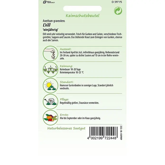 Samen Pfann Saatgut Dill - Anethum graveolens - Dill-Saatgut-Päckchen mit Anbaueinleitung, grüner Farbe und TEKWEST-Logo.
