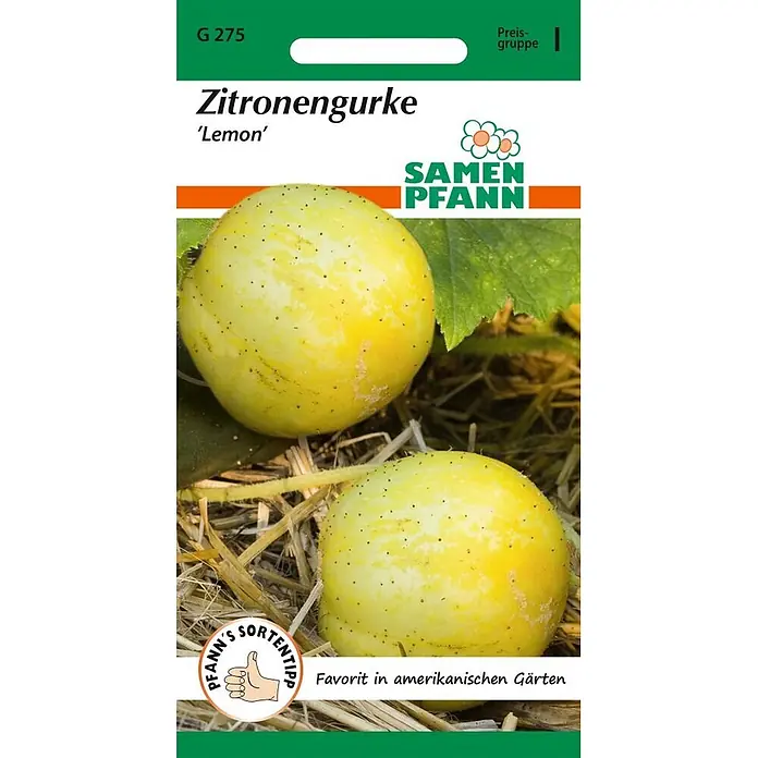 Samen Pfann Saatgut Zitronengurke, Lemon - Cucumis sativus, var. Lemon, 1,6 g - Samentüte für Zitronengurken 'Lemon', zeigt zwei runde, gelb-grüne Gurken auf Stroh.