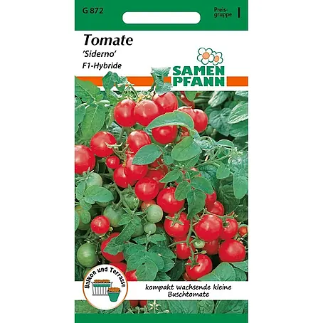 Samen Pfann  Saatgut Tomate, Siderno F1