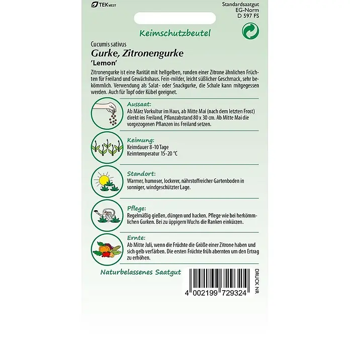 Samen Pfann Saatgut Zitronengurke, Lemon - Cucumis sativus, var. Lemon, 1,6 g - Saatgutpackung für Zitronengurke mit Pflanzanleitung und Illustrationen.