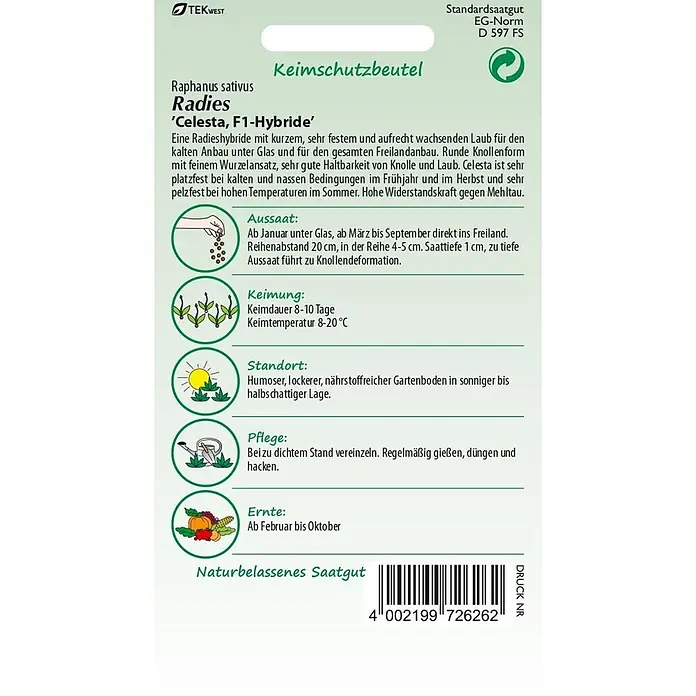 Samen Pfann Saatgut Radies, Celesta F1 - Raphanus sativus, 1,9 g - Radieschensamentüte 'Celesta, F1-Hybride' mit Anbauanleitung und Produktinformationen.