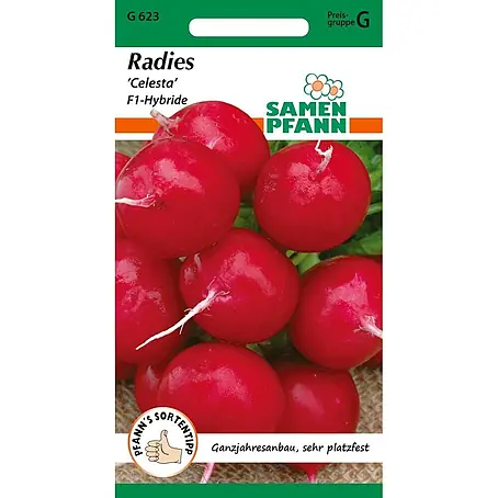 Samen Pfann  Saatgut Radies, Celesta F1