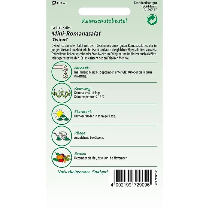 Samen Pfann Saatgut Romanasalat, Ovired - Lactuca sativa, var. Ovired, 1,6 g - Samentüte für roten Mini-Romanasalat 'Ovired' mit Pflanzanleitung.