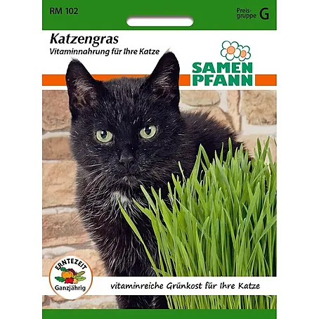 Samen Pfann  Saatgut Katzengras