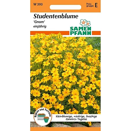 Samen Pfann  Saatgut Tagetes, Gnom