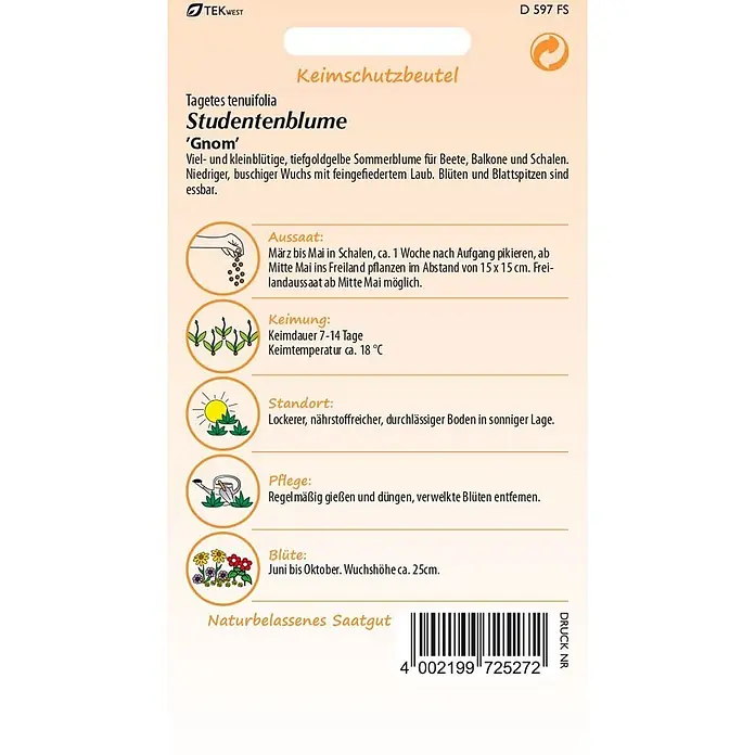 Samen Pfann Saatgut Tagetes, Gnom - Tagetes tenuifolia, 1,6 g - Samenpäckchen für Studentenblume 'Gnom' (Tagetes tenuifolia) mit Pflanzanleitung, Pflegetipps und Barcode.