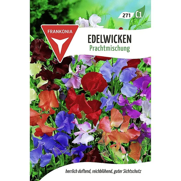 Frankonia Samen Saatgut Edelwicke, Prachtmischung - Lathyrus odoratus, 1,73 g - Edelwicken Prachtmischung: Herrlich duftende, reichblühende, mehrfarbige Wicken, ideal als Sichtschutz.