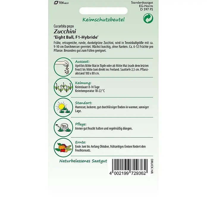 Samen Pfann Saatgut Zucchini, Eight Ball F1 - Cucurbita pepo, 1,6 g - Samenpäckchen für Zucchini 'Eight Ball' F1-Hybride mit Anbauanleitung und Barcode.