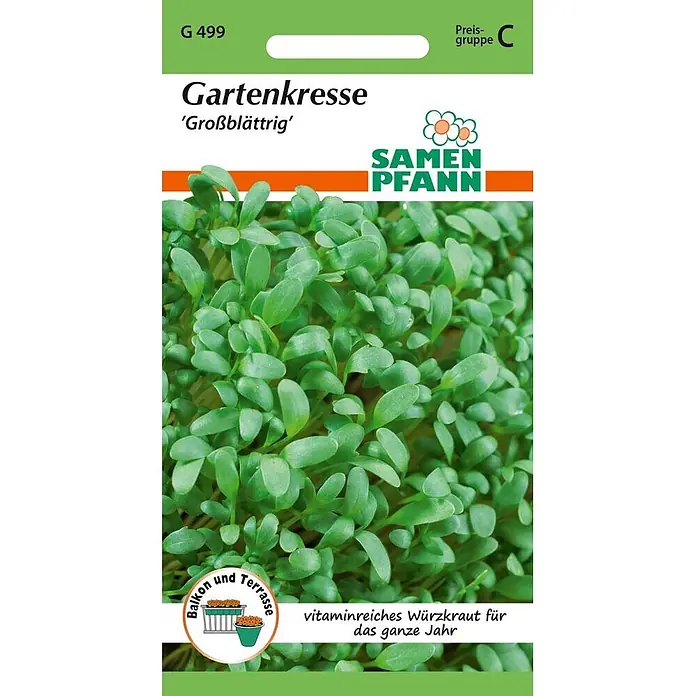 Samen Pfann Saatgut Gartenkresse, großblättrig - Lepidium sativum, 2,4 g - Samen Pfann Gartenkresse Samenpaket mit grünen Keimlingen. Vitaminreiches Würzkraut für Balkon & Terrasse, ganzjährig.