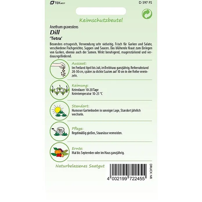 Samen Pfann Saatgut Dill, Tetra - Anethum graveolens - Dill 'Tetra' Samensäckchen mit Anbauanleitung und Barcode.