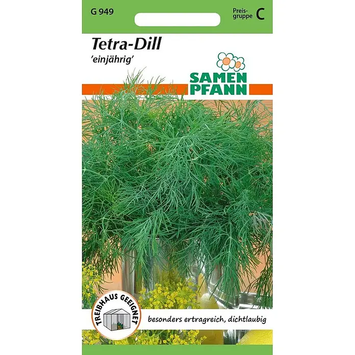 Samen Pfann Saatgut Dill, Tetra - Anethum graveolens - Samenpfann Tetra-Dill Samenpackung, einjährige, ertragreiche Sorte, treibhausgeeignet. Zeigt frischen grünen Dill.