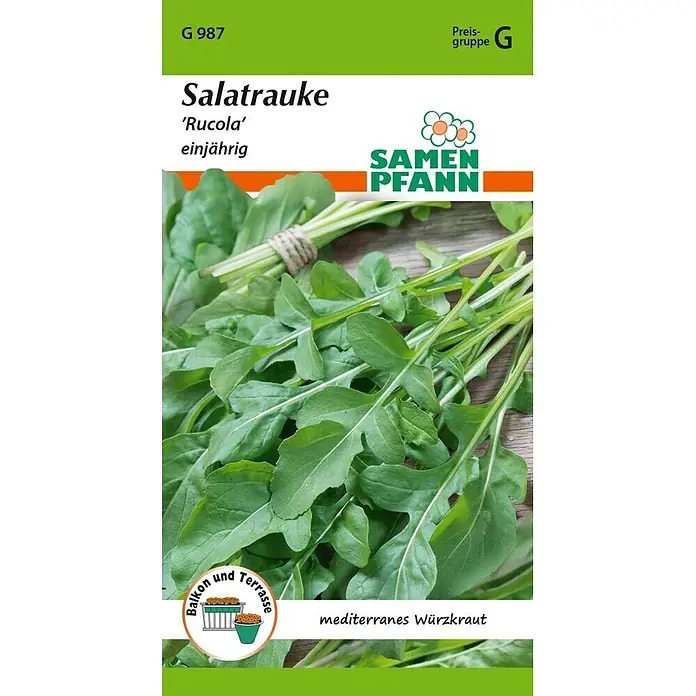 Samen Pfann Saatgut Salatrauke, Rucola - Eruca sativa - Samen Pfann Samentüte für Salatrauke (Rucola) mit frischen grünen Blättern.