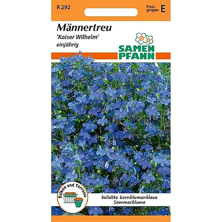 Samen Pfann  Saatgut Männertreu (Lobelia), Kaiser Wilhelm