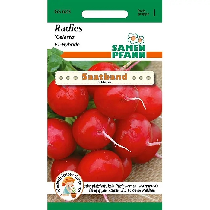 Samen Pfann Saatgut Radies, Celesta F1 Saatband - Raphanus sativus, 2,3 g - Samen Pfann Radieschen 'Celesta' F1-Hybride Saatband (5m) Packung, zeigt eine Nahaufnahme leuchtend roter Radieschen.