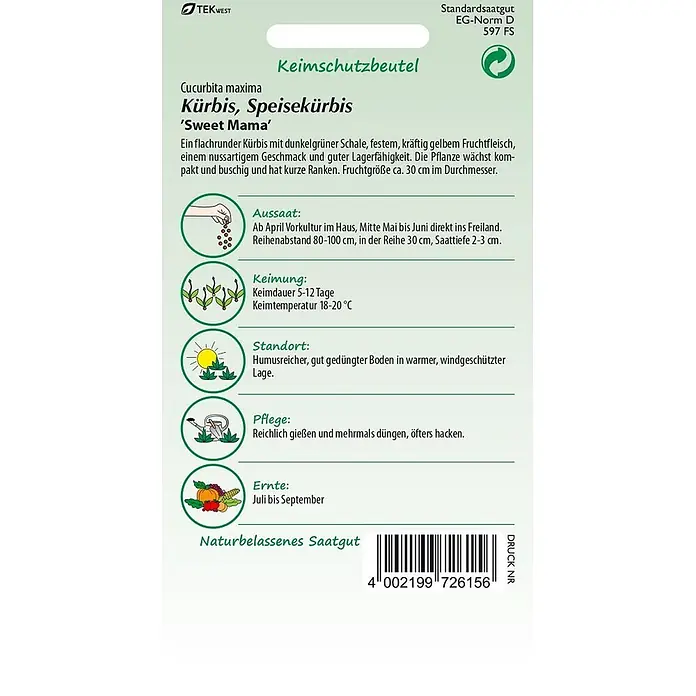 Samen Pfann Saatgut Kürbis, Sweet Mama - Cucurbita maxima, var. Sweet Mama F1, 1,6 g - Grüner und weißer Samenbeutel für Speisekürbis 'Sweet Mama' mit Pflanzanleitung und Barcode.