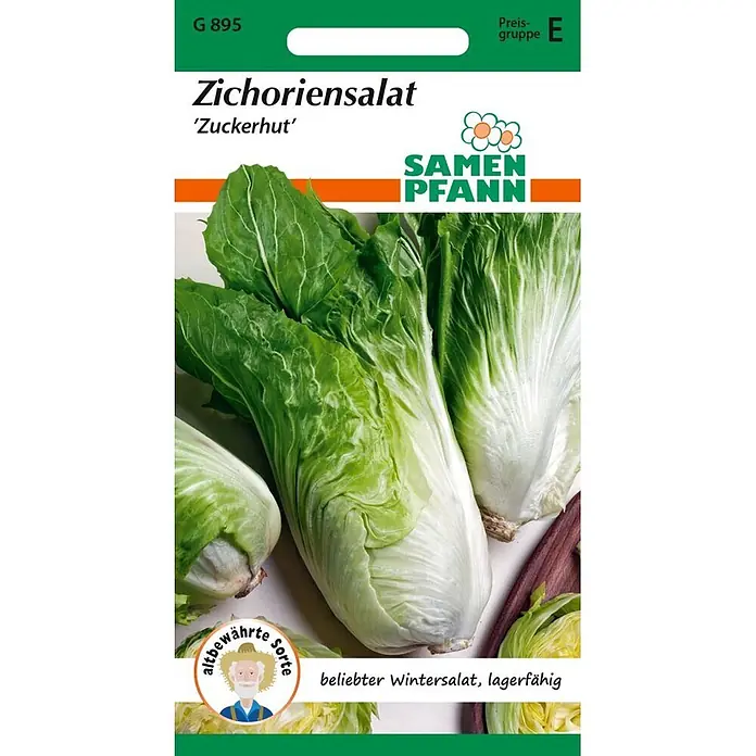 Samen Pfann Saatgut Zichoriensalat, Zuckerhut - Cichorium intybus - Samenpackung für Zichoriensalat 'Zuckerhut', zeigt grün-weiße, konische Köpfe.