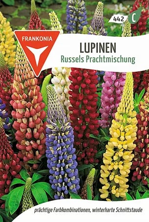 künstliche hängepflanzen groß Hängepflanze | Rainforest main image 0