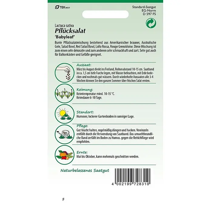 Samen Pfann Saatgut Pflücksalat, Baby Leaf Mischung Saatband - Lactuca sativa, 2,5 g - TEKWEST Pflücksalat 'Babyleaf' Samenpäckchen mit grüner Oberseite und Anweisungen für Anbau und Ernte.