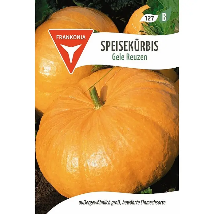 Frankonia Samen Saatgut Speisekürbis, Gele Reuzen - Cucurbita pepo, 1,68 g - Außergewöhnlich großer, orangefarbener Speisekürbis 'Gele Reuzen', eine bewährte Einmachsorte.