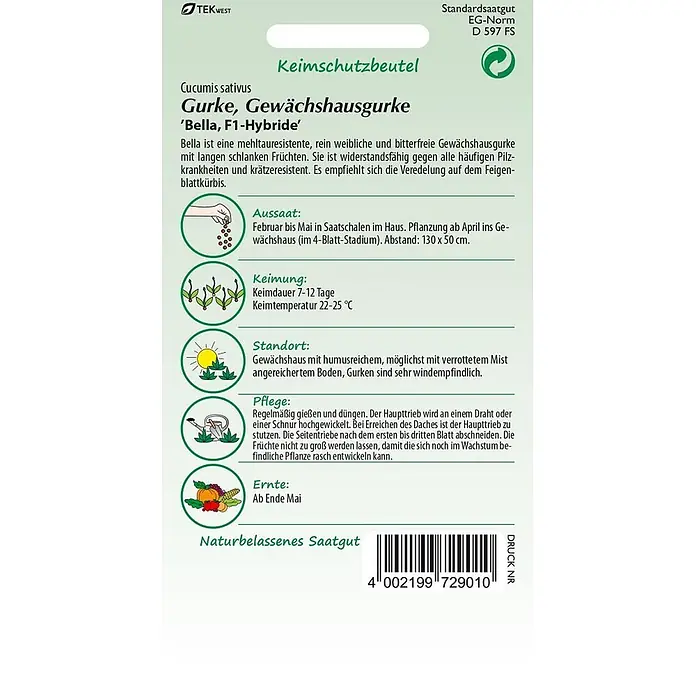 Samen Pfann Saatgut Gewächshausgurke, Bella F1 - Cucumis sativus - Samenpäckchen für die Gewächshausgurke 'Bella, F1-Hybride' mit Pflanzanleitung und Bildern.