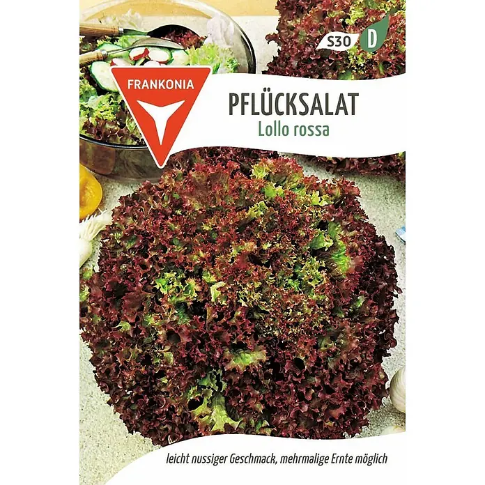 Frankonia Samen Saatgut Pflücksalat, Lollo Rossa - Lactuca sativa, 1,53 g - Roter und grüner, krauser Pflücksalat Lollo rossa für mehrmalige Ernte.