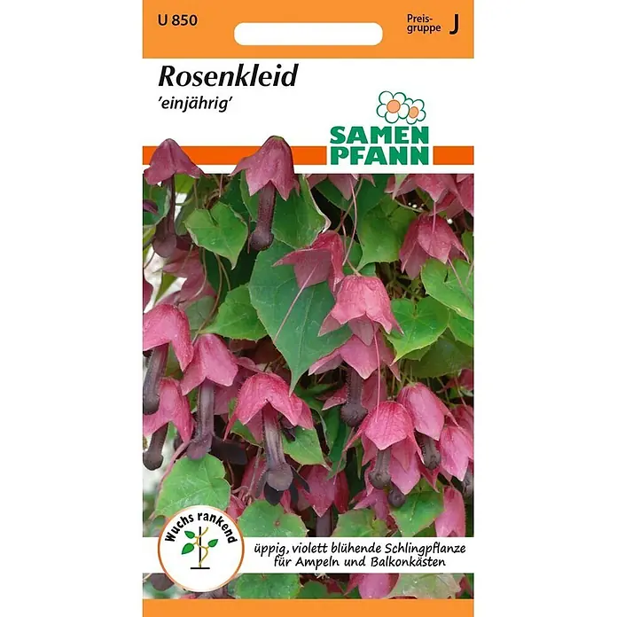 Samen Pfann Saatgut Rosenkleid (Rhodochiton) - Rhodochiton atrosanguineus, 1,6 g - Samenpackung für einjährige 'Rosenkleid' Kletterpflanze mit üppigen, violetten Glockenblüten für Ampeln und Balkonkästen.