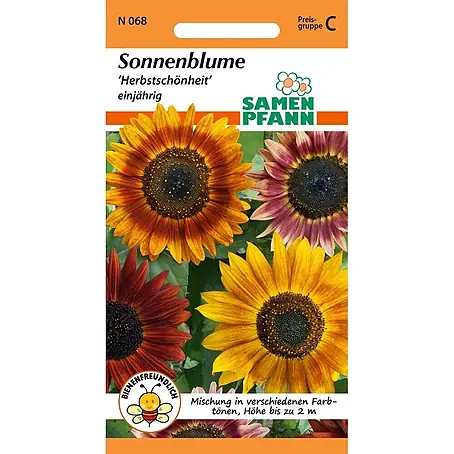 Samen Pfann  Saatgut Sonnenblume, Herbstschönheit