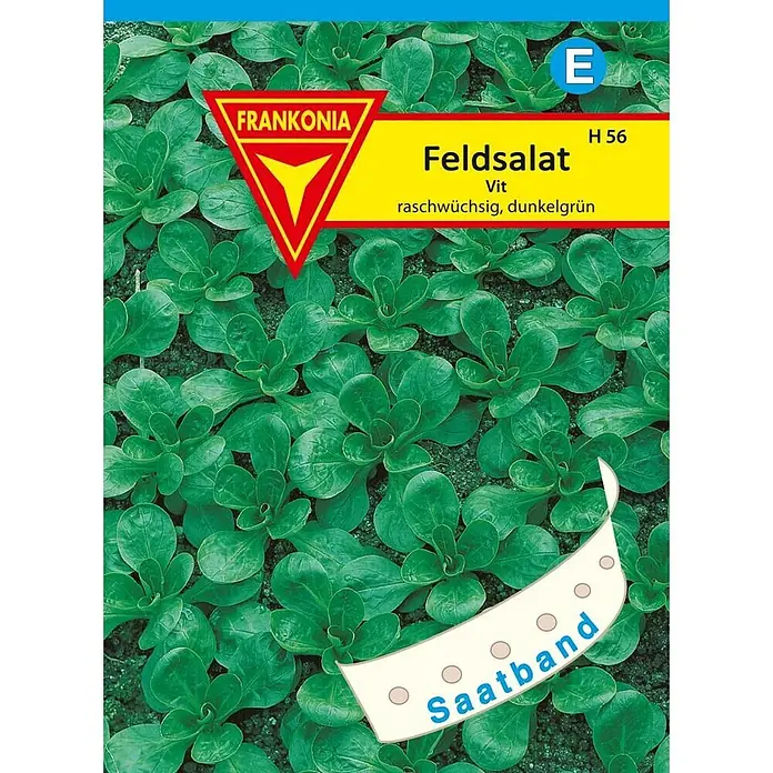 Frankonia Samen Saatgut Feldsalat, Vit Saatband - Valerianella locusta, 2,37 g - FRANKONIA Feldsalat Vit Saatband für schnellwachsenden, dunkelgrünen Feldsalat, abgebildet mit jungen Pflanzen.