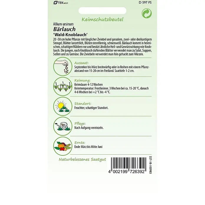 Samen Pfann Saatgut Bärlauch - Allium ursinum, 1,6 g - Samenpackung für Bärlauch (Allium ursinum) mit Pflanzanleitung, Pflegehinweisen und Barcode.