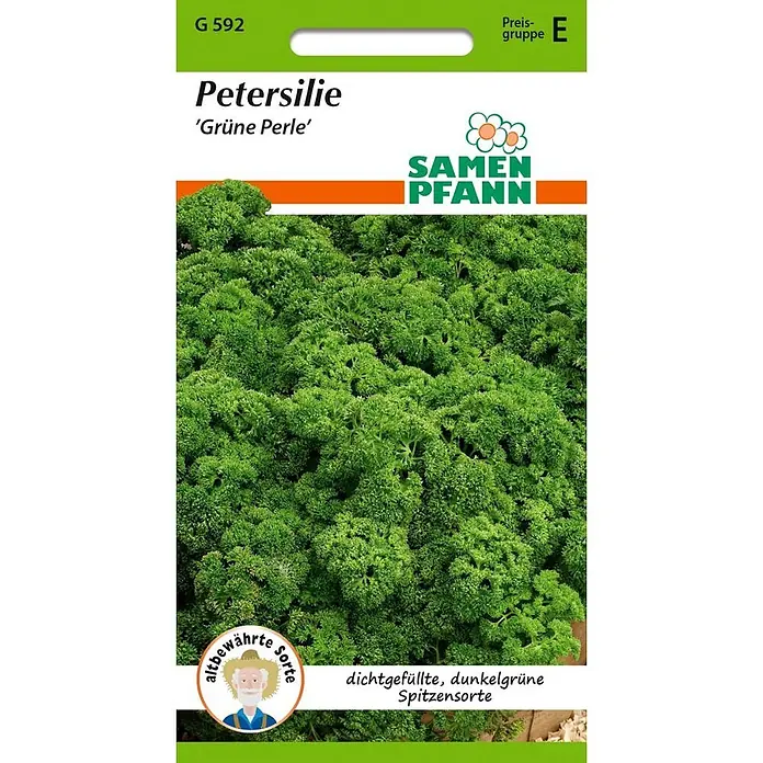 Samen Pfann Saatgut Petersilie, Grüne Perle - Petroselinum crispum - Samen-Päckchen für krause Petersilie 'Grüne Perle', mit dichtem, dunkelgrünem Blattwerk.