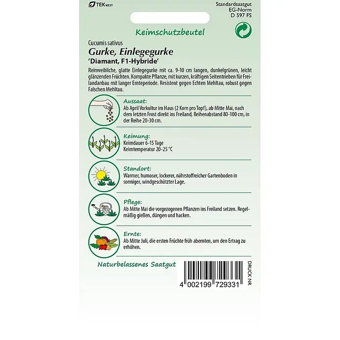 Samen Pfann Saatgut Einlegegurke, Diamant F1 - Cucumis sativus, 1,6 g - Samentüte für Einlegegurken 'Diamant, F1-Hybride' mit Anbau-, Pflege- und Ernteinformationen.