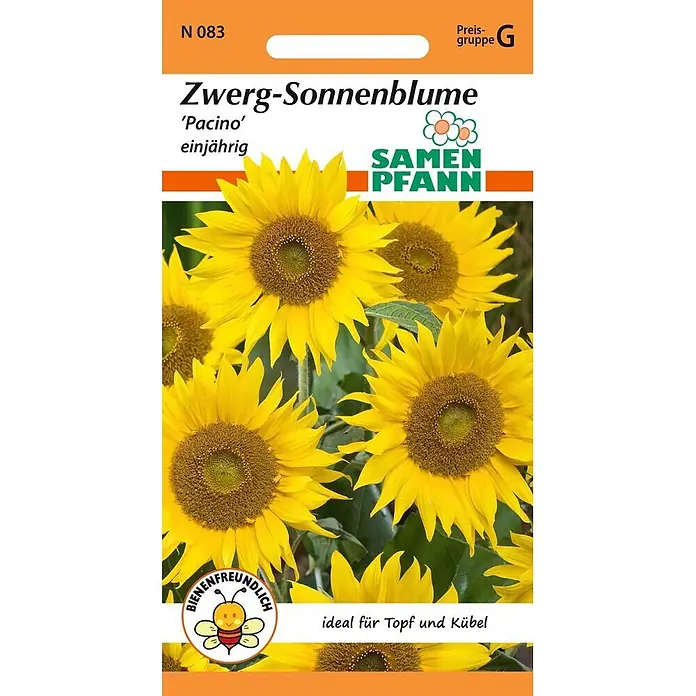 Samen Pfann Saatgut Sonnenblume, Zwergsonnenblume, Pacino - Helianthus annuus, 1,6 g - Zwerg-Sonnenblumen der Sorte 'Pacino' mit gelben Blüten und braunen Zentren, bienenfreundlich und ideal für Töpfe.
