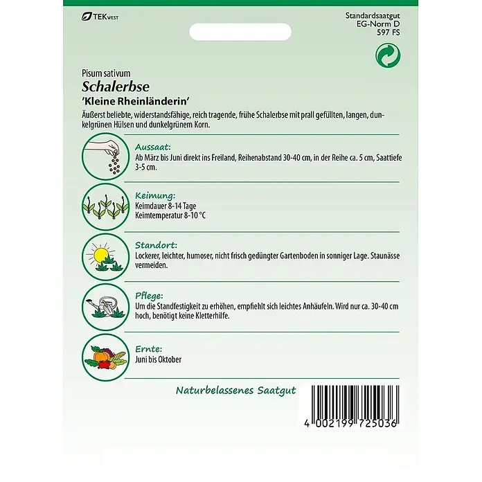 Samen Pfann Saatgut Schalerbse, Kleine Rheinländerin - Pisum sativum, 6,2 g - Samenpackung für Schalerbse 'Kleine Rheinländerin' von TEK WEST, mit grün-weißem Design und Anbauinformationen.