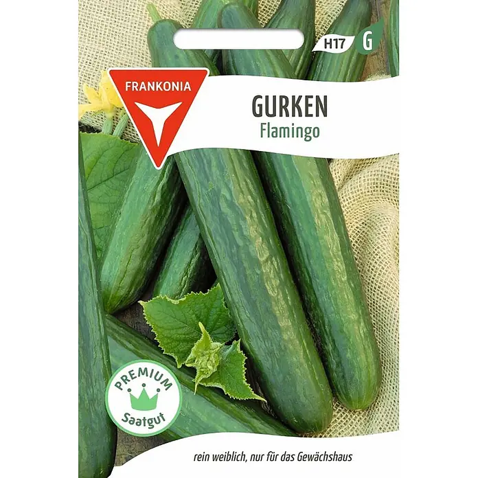 Frankonia Samen Saatgut Salatgurke, Flamingo F1 - Cucumis sativus - Frankonia 'Flamingo' Gurkensamen-Päckchen mit grünen Gurken, Blättern und 'Premium Saatgut' Abzeichen. Gewächshaussorte.