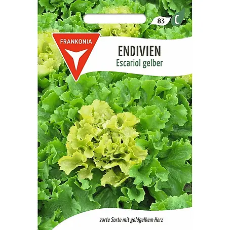 Frankonia Samen  Saatgut Endivie, Escariol gelber