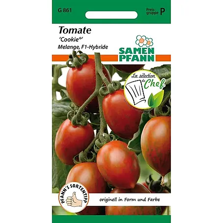 Samen Pfann  Saatgut Tomate, Cookie (Melange F1)