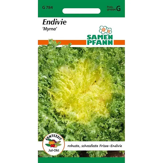 Samen Pfann Saatgut Endivie, Winter-, Myrna, Friseesalat - Cichorium endivia, 1,6 g - Samenpackung für Frisee-Endivie 'Myrna', zeigt grün-gelbe Pflanze. Erntezeit: Jul-Okt.