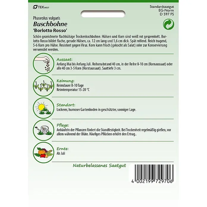Samen Pfann Saatgut Buschbohne, Borlotto Rosso (Trockenbohne) - Phaseolus vulgaris - Samenpackung für 'Borlotto Rosso' Buschbohnen mit Pflanzanleitung und farbigen Illustrationen.