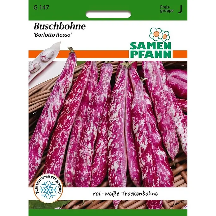 Samen Pfann Saatgut Buschbohne, Borlotto Rosso (Trockenbohne) - Phaseolus vulgaris - Samentüte für Buschbohne 'Borlotto Rosso' mit rot-weiß gesprenkelten Schoten und Bohnen in einem Korb. Eine rot-weiße Trockenbohne.