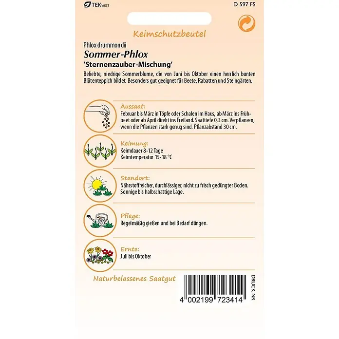 Samen Pfann Saatgut Sommer-Phlox, Sternenzauber-Mischung - Phloc drummondii, 1,6 g - Eine Saatgutpackung für Sommer-Phlox 'Sternenzauber-Mischung' (Phlox drummondii) mit Aussaat-, Keimungs- und Pflegeinformationen.