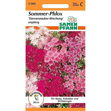 Samen Pfann  Saatgut Sommer-Phlox, Sternenzauber-Mischung