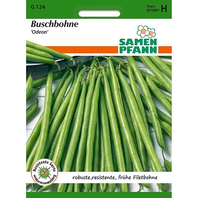 Samen Pfann Saatgut Buschbohne, Odeon - Phaseolus vulgaris, 6,2 g - Samenpackung für 'Odeon' Buschbohnen, mit Abbildung grüner Bohnen und Text über robuste, resistente, frühe Filetbohnen.