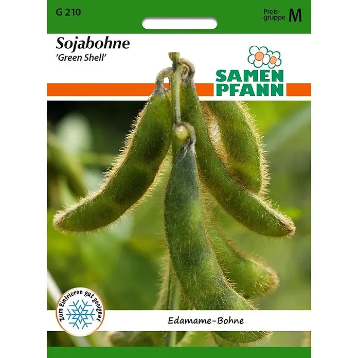 Samen Pfann Saatgut Sojabohne Edamame, Green Shell - Glyzine max - Samenpackung für Sojabohnen 'Green Shell'. Grüne, behaarte Edamame-Schoten, zum Einfrieren geeignet.