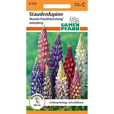 Samen Pfann  Saatgut Staudenlupine, Russels Prachtmischung