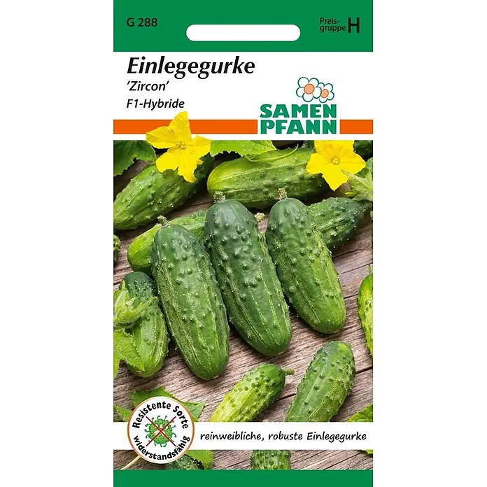 Samen Pfann Saatgut Einlegegurke, Zircon F1 - Cucumis sativus, var. Zircon F1, 1,6 g - Samentüte für 'Zircon' F1-Hybride Einlegegurken, mit Text und Bild von grünen Gurken und gelben Blüten.