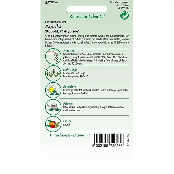 Samen Pfann Saatgut Paprika, Snack-Paprika, Kobold F1 - Capsicum annuum, 1,6 g - Samenpäckchen für Paprika 'Kobold, F1-Hybride' mit Anbauanleitung und Illustrationen.