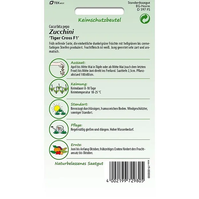 Samen Pfann Saatgut Zucchini, Tiger Cross F1 - Cucurbita pepo, var. Tiger Cross F1, 1,6 g - Grün-weißer Keimschutzbeutel für Zucchini 'Tiger Cross F1' mit Sortenbeschreibung, Pflanzanleitung und Pflegehinweisen.