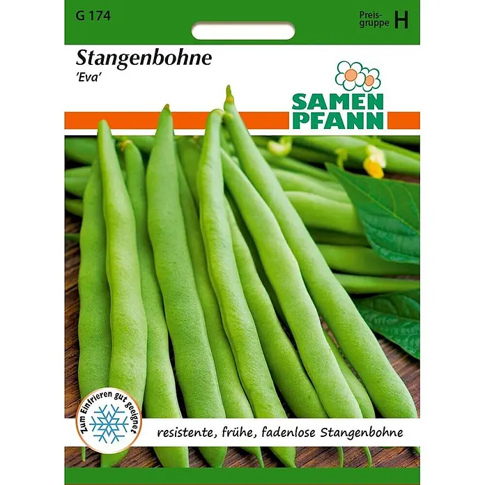 Samen Pfann Saatgut Stangenbohne, Eva - Phaseolus vulgaris, 6,2 g - Samen-Tüte Stangenbohne 'Eva' (resistent, früh, fadenlos), geeignet zum Einfrieren.