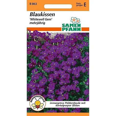 Samen Pfann  Saatgut Blaukissen (Aubrieta)