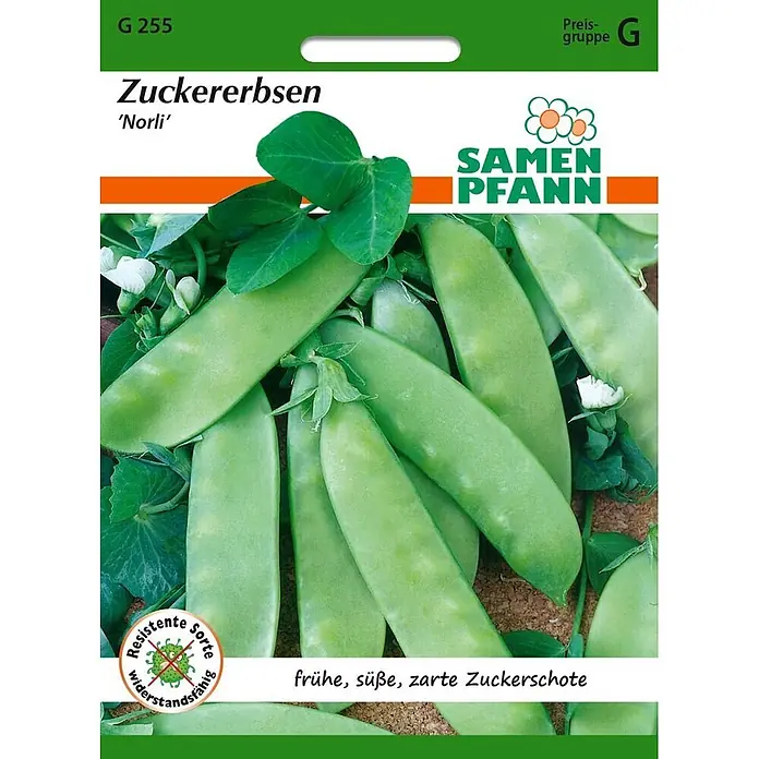 Samen Pfann Saatgut Zuckererbse, Norli - Pisum sativum, 6,2 g - Samentüte für 'Norli' Zuckererbsen mit Bild von frischen grünen Schoten. Eine resistente, frühe, süße und zarte Sorte.